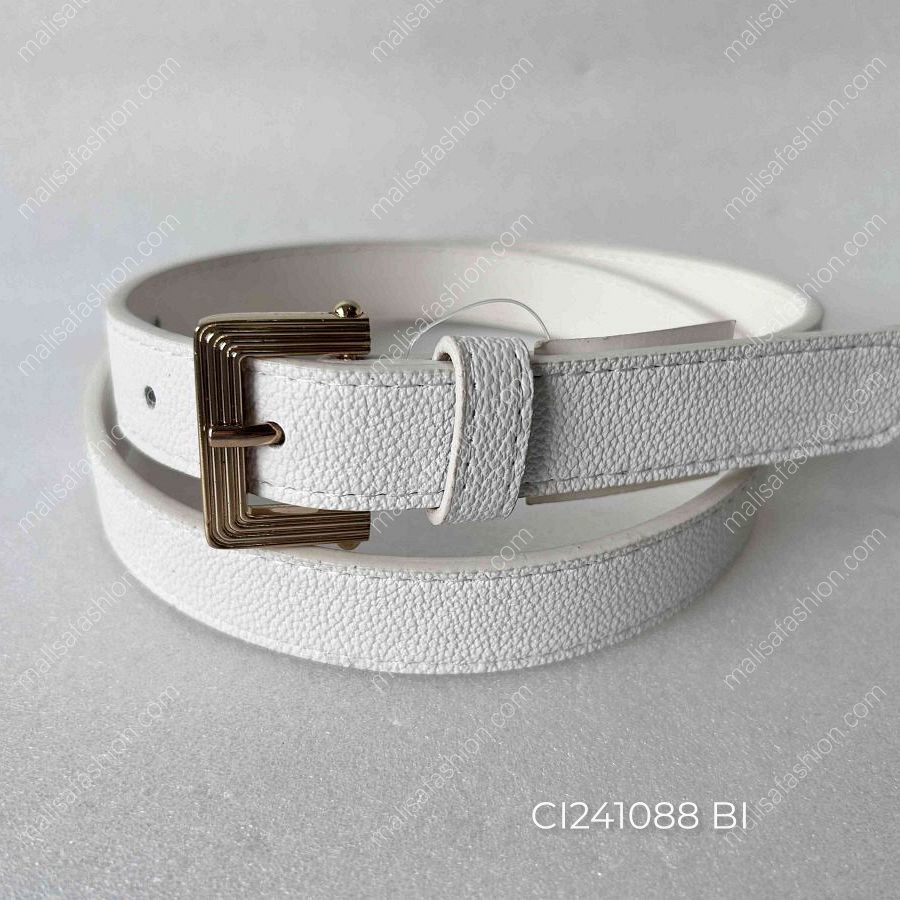 CI241088 BI