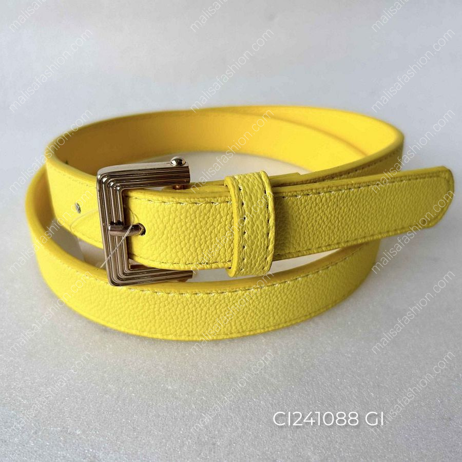 CI241088 GI