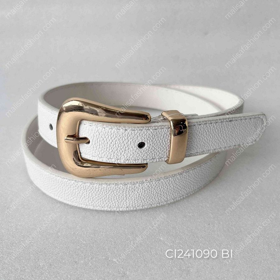 CI241090 BI