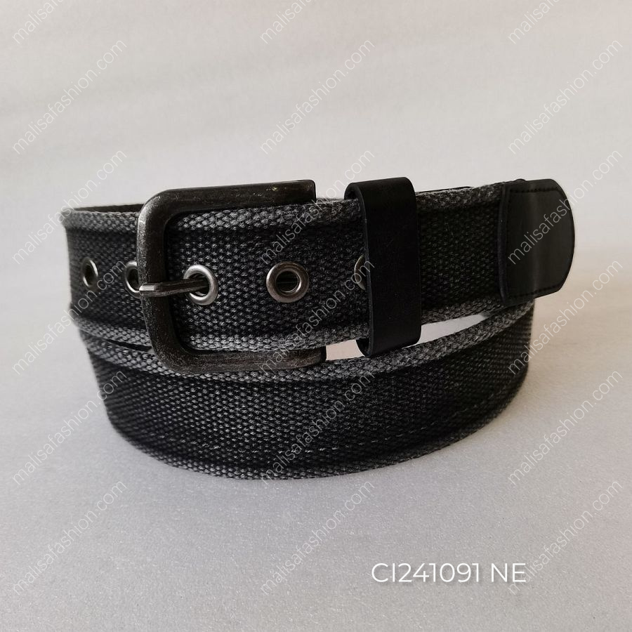 CI241091 NE