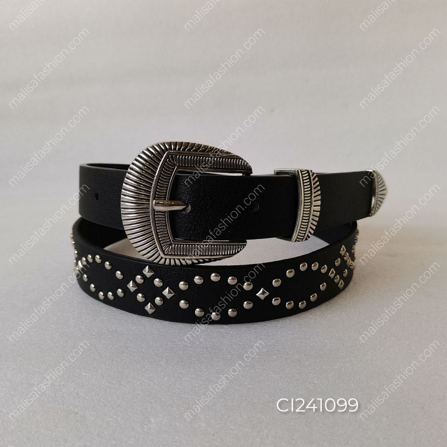 CI241099