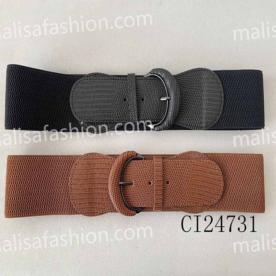 CI24731