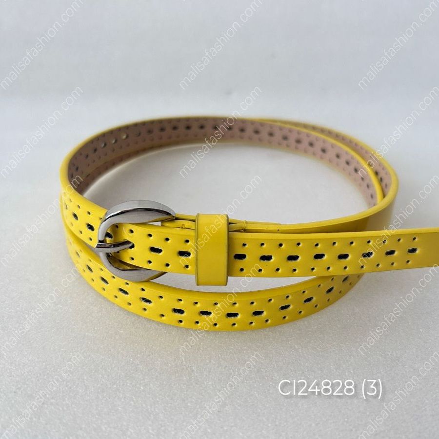 CI24828 GI
