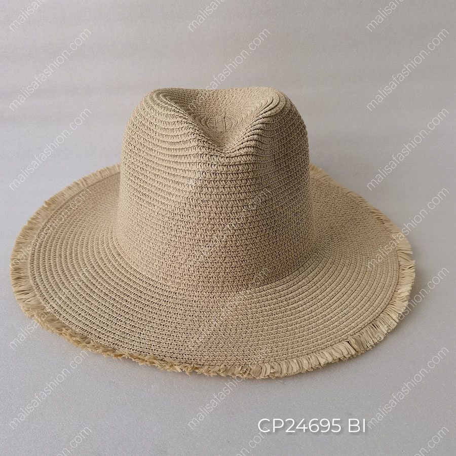 CP24695 BI