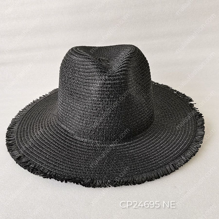CP24695 NE