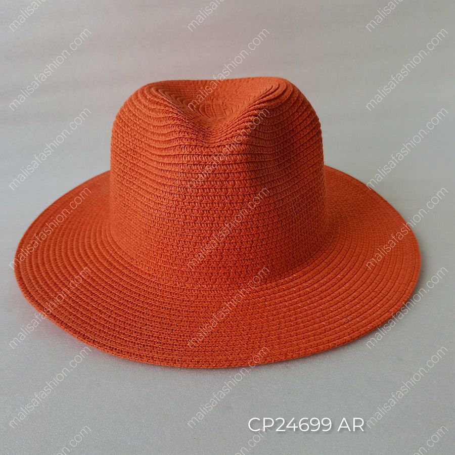 CP24699 AR