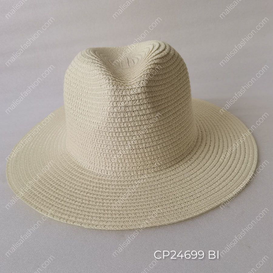 CP24699 BI