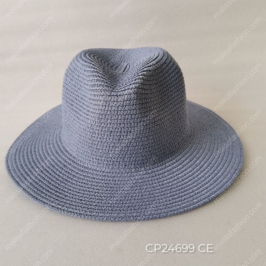 CP24699 CE