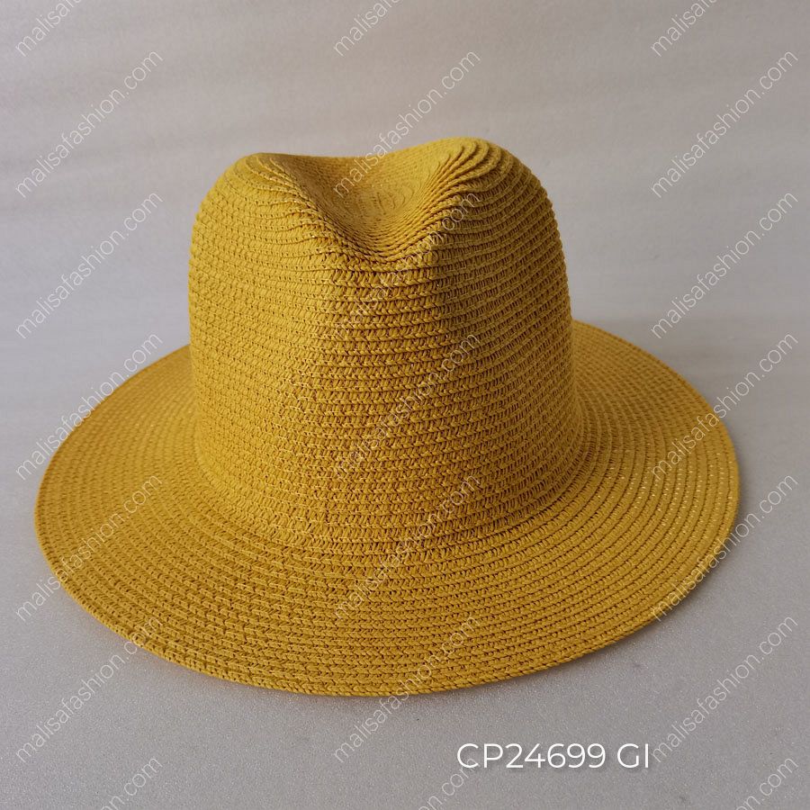 CP24699 GI