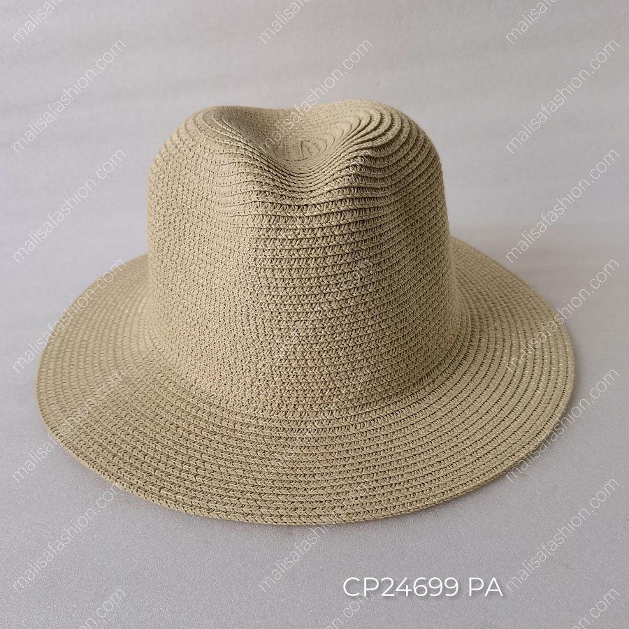 CP24699 PA