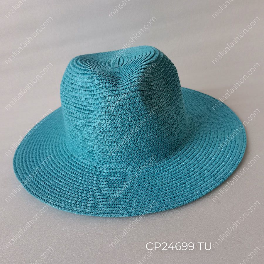 CP24699 TU