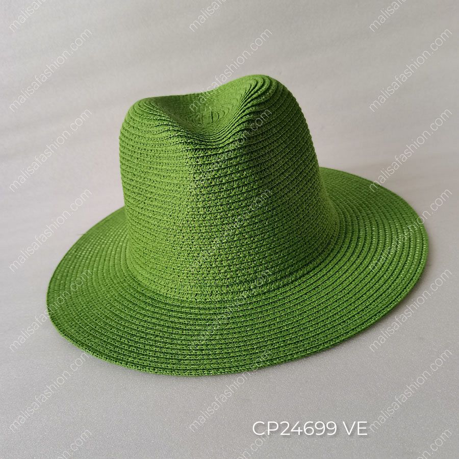 CP24699 VE