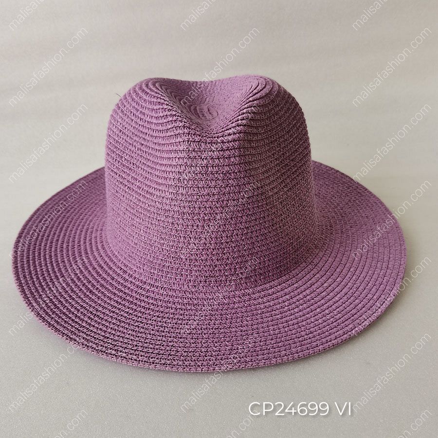CP24699 VI