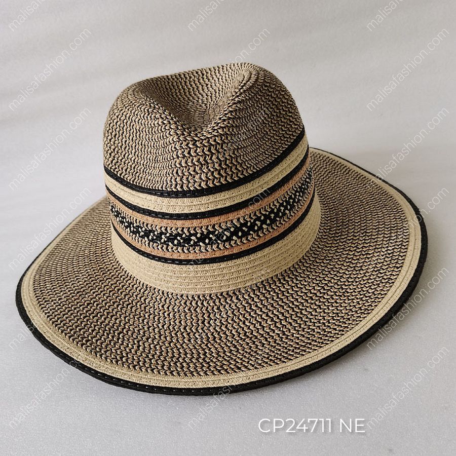 CP24711 NE