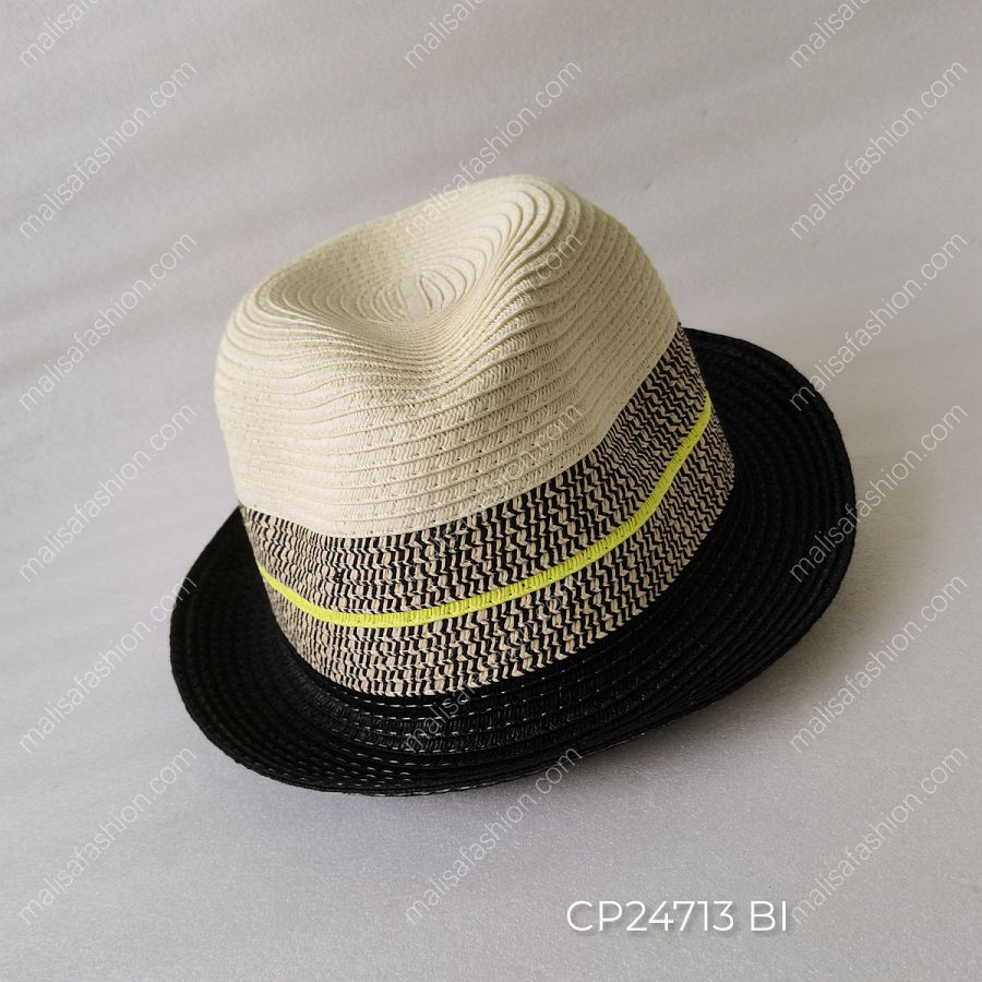 CP24713 BI