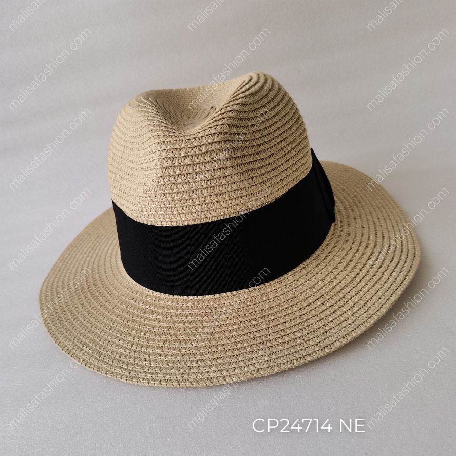 CP24714 NE
