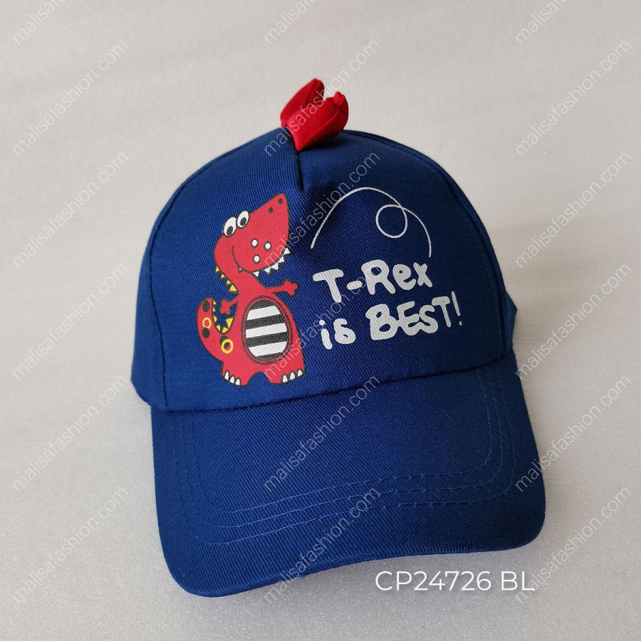 CP24726 BL