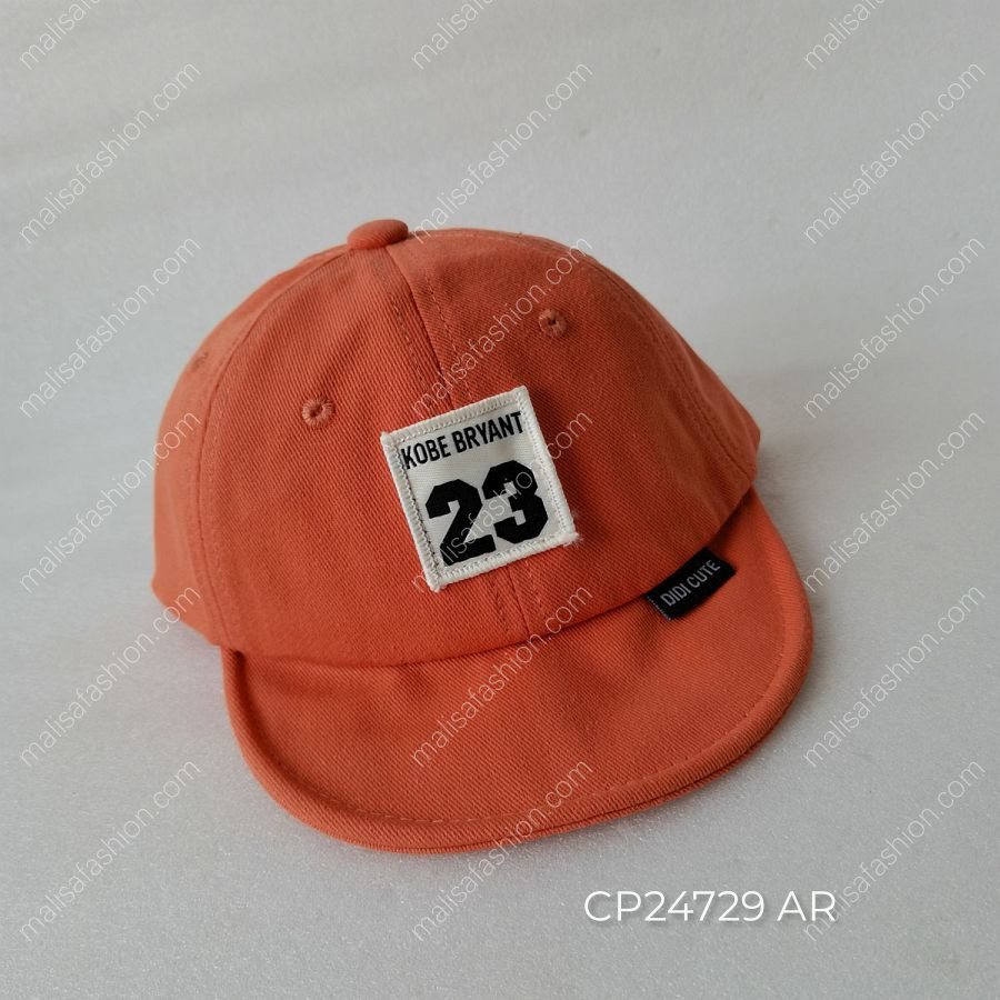 CP24729 AR
