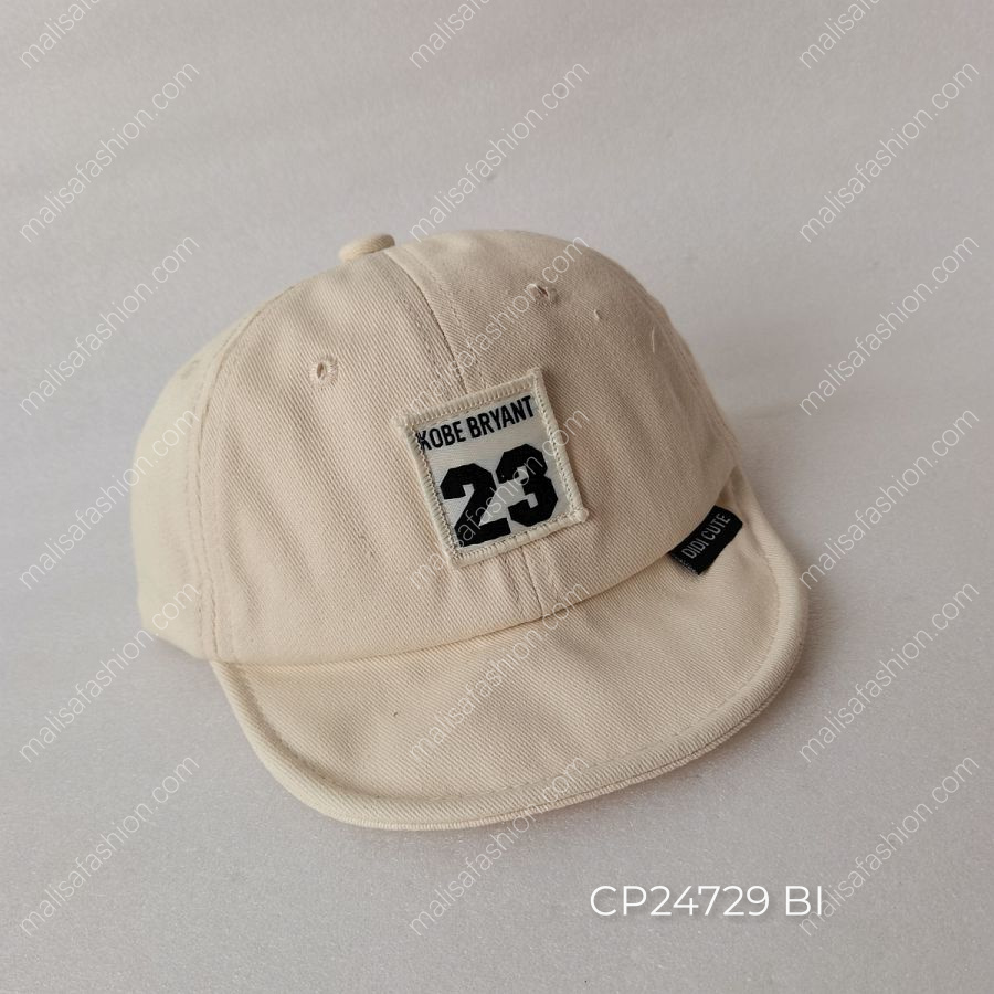 CP24729 BI